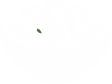 dinner