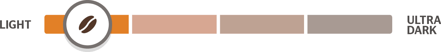 Light Roast